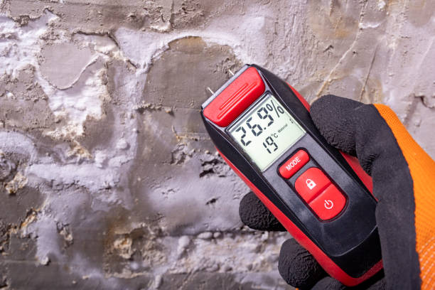 Trusted Valinda, CA Mold Remediation Experts