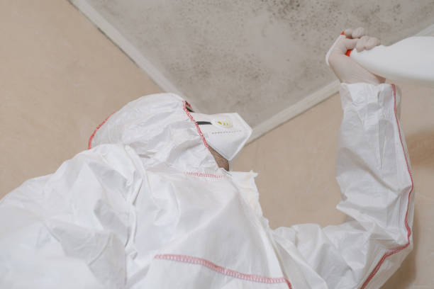 Best Industrial Mold Remediation in Valinda, CA